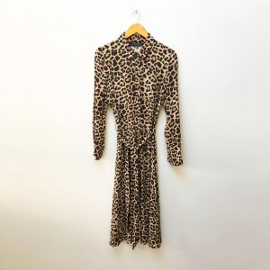 Zara Leopard Print Dress