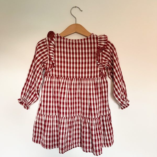 Zara Check Dress